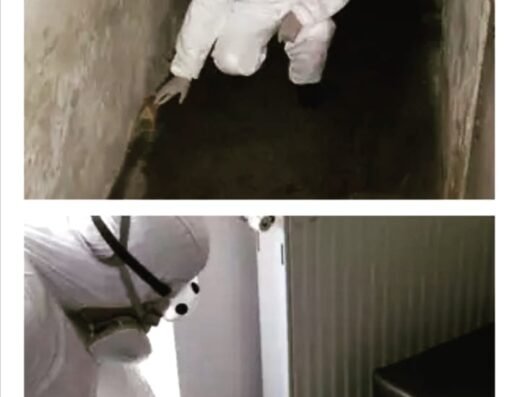 3D DERATIZARE COMPLETA