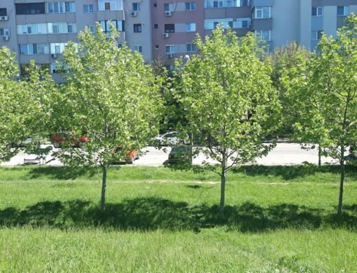 Cabinet individual de psihologie – Iuliana Stancu (Psychology Cabinet Iuliana Stancu)