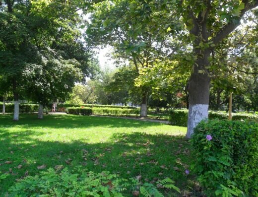 Cabinet individual de psihologie Nicoleta Boghianu