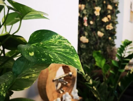 Cabinet Psihologie și Psihoterapie Maria Georgeta Ghita