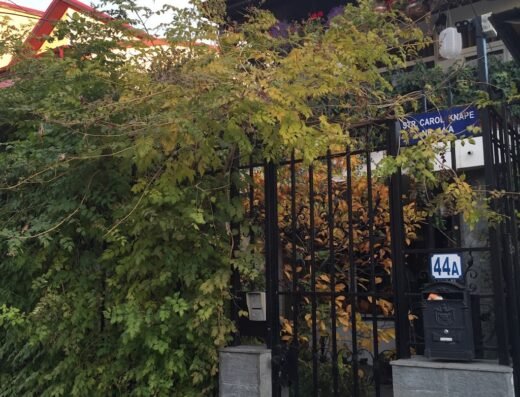 Cabinet Psihoterapie si Psihologie Dr. Teodor Vasile