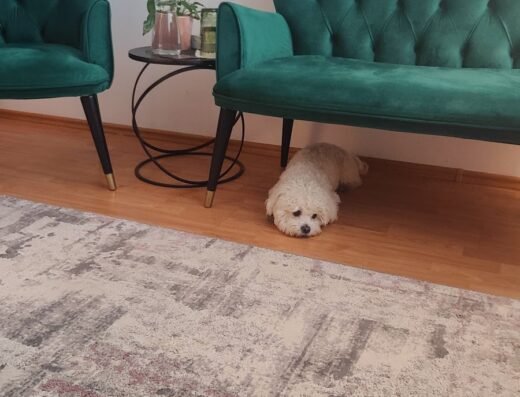 Centrul de Psihoterapie Cuore