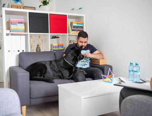 Ciacia Adriana Meda – Cabinet individual de psihologie