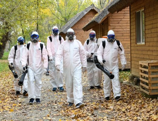 DDD Nord – Deratizare, Dezinsectie, Dezinfectie