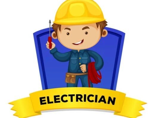 Electrician – Razvan PFA