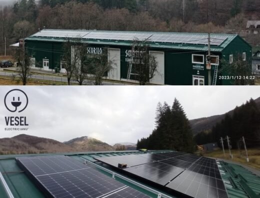 Electricianu’ Vesel