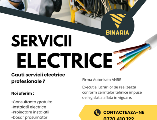 Instalatii Electrice Constanta Autorizate ANRE