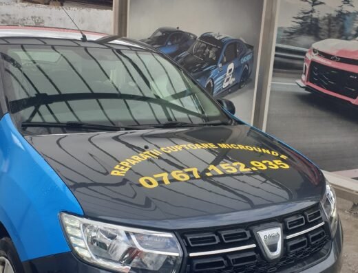 Reparații cuptoare electrice și cuptoare microunde – ALIN & TV LCD SRL