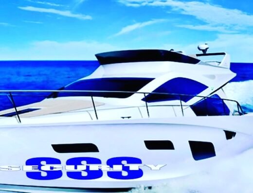 Save&Self Company Guard