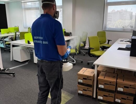 Servicii – contracte DDD Bucuresti – Dezinsectie, Dezinfectie, Deratizare
